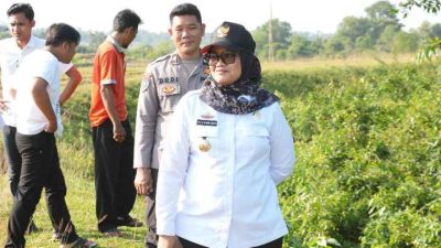 Hilangkan Konflik Gajah Manusia Bupati Lamtim Tinjau Tanggul Penyangga