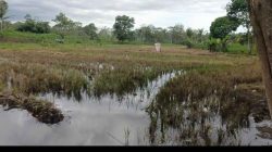 Ahli Waris Laporkan Dugaan Perampasan Tanah Wakaf Masjid Nurul Mukmin ke Polres Lampung Timur