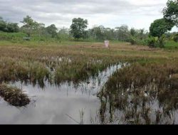 Ahli Waris Laporkan Dugaan Perampasan Tanah Wakaf Masjid Nurul Mukmin ke Polres Lampung Timur